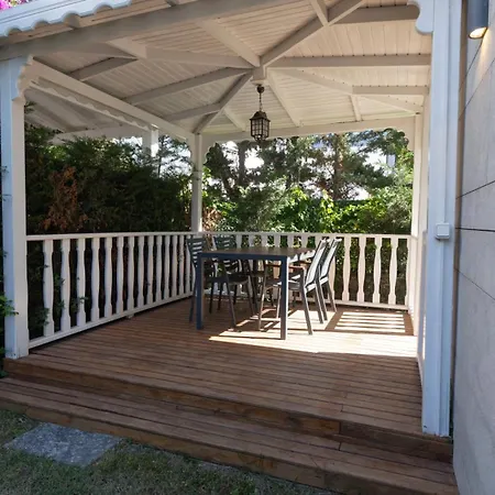 Blue Point * Яликовак