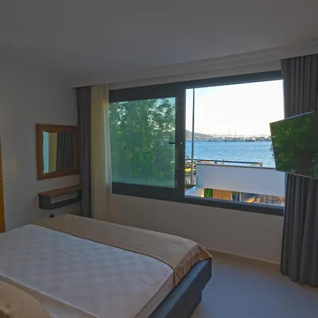 Blue Point * 亚力卡瓦克