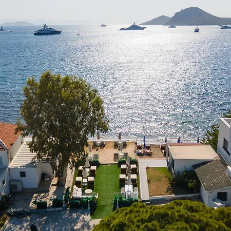 Blue Point Hotel *